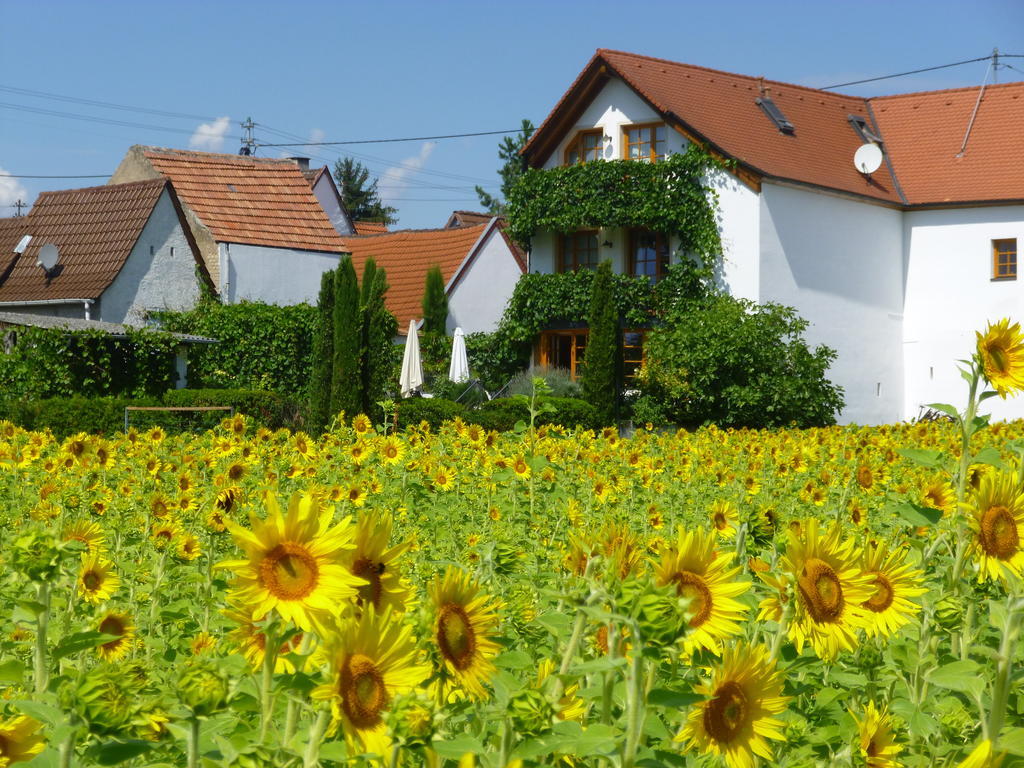 Landhotel Kallstadt Exteriér fotografie